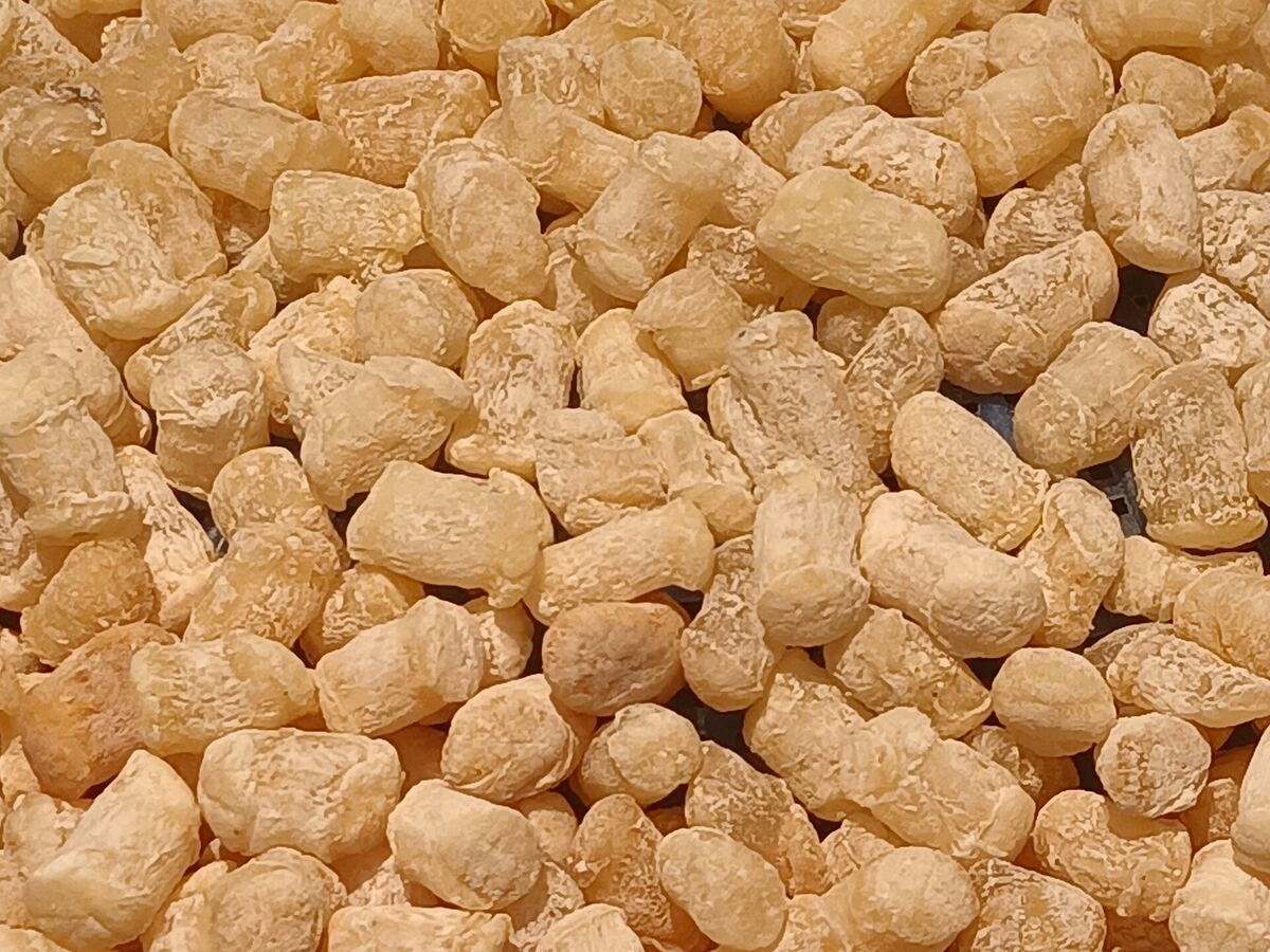 海味干货 海味干货 - 纽约法拉盛中草堂